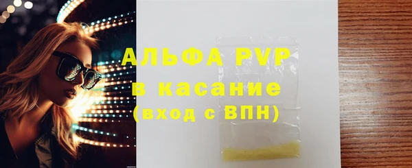 индика Горняк