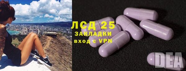 ПСИЛОЦИБИНОВЫЕ ГРИБЫ Белоозёрский